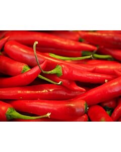Fresh Red Chillies