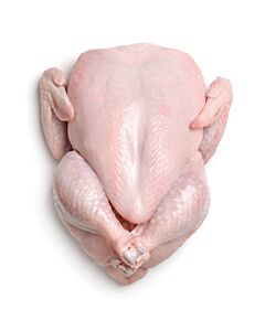 Fresh British Large Whole Chicken