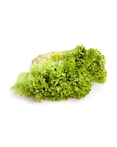 Fresh Lollo Blondi Lettuce