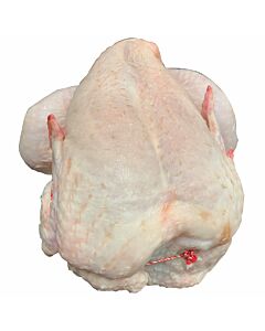 Fresh British Whole Small Chickens