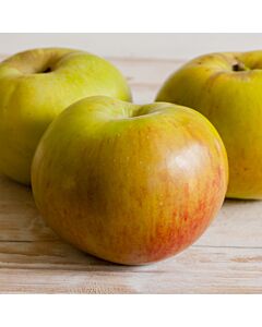 Fresh Bramley Apples