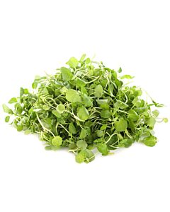 Fresh Pre-Packed Watercress