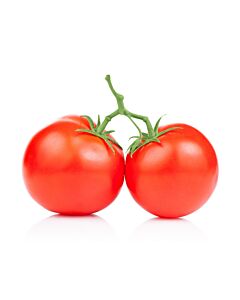 Fresh Large Vine Tomatoes