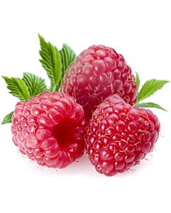 Fresh Raspberries