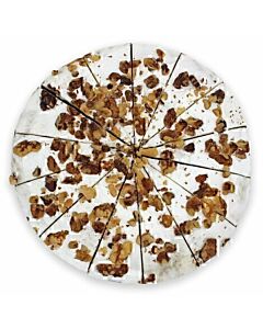 Sponge Frozen Vegan Carrot Cake