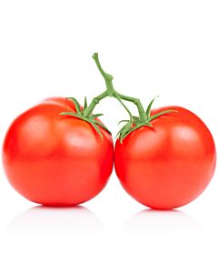 Fresh Large Vine Tomatoes