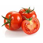 Fresh Tomatoes