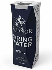 Radnor Hills Still Spring Water Cartons - 24x250ml
