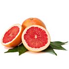 Fresh Red Grapefruit