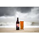 Adnams Alcohol Free Ghost Ship Pale Ale 0.5%