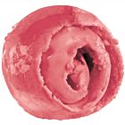 Yarde Farm Raspberry Ripple Sorbet