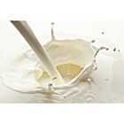 Fresh Whole Milk Pergals