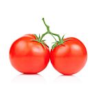 Fresh Large Vine Tomatoes