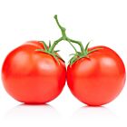 Fresh Large Vine Tomatoes