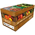 Knorr Professional 100% Minestrone Soup