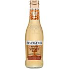 Fever Tree Premium Ginger Ale