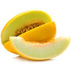 Fresh Yellow Melon