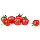 Fresh Red Cherry Tomatoes