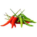 Fresh Red and Green Chillies