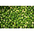 Fresh Brussels Sprouts