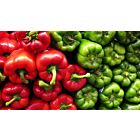 Fresh Green Peppers